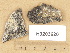  ( - H9203620)  @11 [ ] Copyright (2012) Diana Weckman Botanical Museum, Finnish Museum of Natural History, University of Helsinki