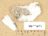  ( - H9203656)  @11 [ ] Copyright (2012) Diana Weckman Botanical Museum, Finnish Museum of Natural History, University of Helsinki
