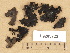  ( - H9203722)  @11 [ ] Copyright (2012) Diana Weckman Botanical Museum, Finnish Museum of Natural History, University of Helsinki