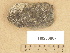  ( - H9203887)  @11 [ ] Copyright (2012) Diana Weckman Botanical Museum, Finnish Museum of Natural History, University of Helsinki