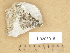  ( - H9203915)  @11 [ ] Copyright (2012) Diana Weckman Botanical Museum, Finnish Museum of Natural History, University of Helsinki