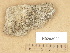  ( - H9203923)  @11 [ ] Copyright (2012) Diana Weckman Botanical Museum, Finnish Museum of Natural History, University of Helsinki