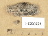 ( - H9204924)  @11 [ ] Copyright (2013) Diana Weckman Botanical Museum, Finnish Museum of Natural History, University of Helsinki