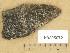  ( - H9205072)  @11 [ ] Copyright (2013) Diana Weckman Botanical Museum, Finnish Museum of Natural History, University of Helsinki