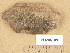  ( - H9205189)  @11 [ ] Copyright (2013) Diana Weckman Botanical Museum, Finnish Museum of Natural History, University of Helsinki