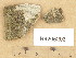  ( - H9205203)  @11 [ ] Copyright (2013) Diana Weckman Botanical Museum, Finnish Museum of Natural History, University of Helsinki