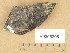  (Gyalecta erythrozona - H9205205)  @11 [ ] Copyright (2013) Diana Weckman Botanical Museum, Finnish Museum of Natural History, University of Helsinki