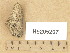  ( - H9205207)  @11 [ ] Copyright (2013) Diana Weckman Botanical Museum, Finnish Museum of Natural History, University of Helsinki