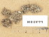  ( - H9205229)  @11 [ ] Copyright (2013) Diana Weckman Botanical Museum, Finnish Museum of Natural History, University of Helsinki