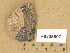 ( - H9205697)  @11 [ ] Copyright (2014) Diana Weckman Botanical Museum, Finnish Museum of Natural History, University of Helsinki