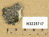  ( - H9205717)  @11 [ ] Copyright (2014) Diana Weckman Botanical Museum, Finnish Museum of Natural History, University of Helsinki