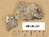  ( - H9205751)  @11 [ ] Copyright (2014) Diana Weckman Botanical Museum, Finnish Museum of Natural History, University of Helsinki