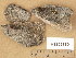  ( - H9205770)  @11 [ ] Copyright (2014) Diana Weckman Botanical Museum, Finnish Museum of Natural History, University of Helsinki