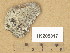  ( - H9205817)  @11 [ ] Copyright (2014) Diana Weckman Botanical Museum, Finnish Museum of Natural History, University of Helsinki
