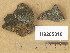  ( - H9205818)  @11 [ ] Copyright (2014) Diana Weckman Botanical Museum, Finnish Museum of Natural History, University of Helsinki