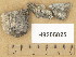  ( - H9205825)  @11 [ ] Copyright (2014) Diana Weckman Botanical Museum, Finnish Museum of Natural History, University of Helsinki