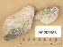  ( - H9205856)  @11 [ ] Copyright (2014) Diana Weckman Botanical Museum, Finnish Museum of Natural History, University of Helsinki