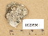  ( - H9205861)  @11 [ ] Copyright (2014) Diana Weckman Botanical Museum, Finnish Museum of Natural History, University of Helsinki