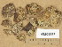  ( - H9205873)  @11 [ ] Copyright (2014) Diana Weckman Botanical Museum, Finnish Museum of Natural History, University of Helsinki