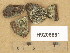  ( - H9205881)  @11 [ ] Copyright (2014) Diana Weckman Botanical Museum, Finnish Museum of Natural History, University of Helsinki