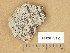  (Polysporina - H9205912)  @11 [ ] Copyright (2014) Diana Weckman Botanical Museum, Finnish Museum of Natural History, University of Helsinki