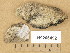  ( - H9206492)  @11 [ ] Copyright (2014) Diana Weckman Botanical Museum, Finnish Museum of Natural History, University of Helsinki