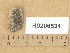  ( - H9206534)  @11 [ ] Copyright (2014) Diana Weckman Botanical Museum, Finnish Museum of Natural History, University of Helsinki