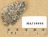  ( - H9206555)  @11 [ ] Copyright (2014) Diana Weckman Botanical Museum, Finnish Museum of Natural History, University of Helsinki