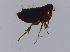  ( - ES0027)  @11 [ ] Unspecified (default): All Rights Reserved  Unspecified Unspecified
