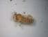  ( - Jari-20110136)  @12 [ ] Unspecified (default): All Rights Reserved  Unspecified Unspecified