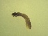  ( - Jari20110260)  @12 [ ] Unspecified (default): All Rights Reserved  Unspecified Unspecified