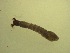  ( - Jari20110263)  @12 [ ] Unspecified (default): All Rights Reserved  Unspecified Unspecified