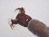  ( - Jari20110263)  @12 [ ] Unspecified (default): All Rights Reserved  Unspecified Unspecified