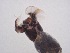  ( - Jari20110263)  @12 [ ] Unspecified (default): All Rights Reserved  Unspecified Unspecified