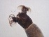  ( - Jari20110264)  @12 [ ] Unspecified (default): All Rights Reserved  Unspecified Unspecified