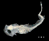  ( - IMOSLarvalFish24)  @11 [ ] CreativeCommons  - Attribution Non-Conmmercial Share-Alike (2021) Unspecified CSIRO Australian National Fish Collection