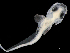  ( - IMOSLarvalFish30)  @11 [ ] CreativeCommons  - Attribution Non-Conmmercial Share-Alike (2021) Unspecified CSIRO Australian National Fish Collection