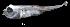  ( - IMOSLarvalFish60)  @11 [ ] CreativeCommons  - Attribution Non-Conmmercial Share-Alike (2021) Unspecified CSIRO Australian National Fish Collection