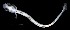  ( - IMOSLarvalFish64)  @11 [ ] CreativeCommons  - Attribution Non-Conmmercial Share-Alike (2021) Unspecified CSIRO Australian National Fish Collection