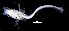  ( - IMOSLarvalFish69)  @11 [ ] CreativeCommons  - Attribution Non-Conmmercial Share-Alike (2021) Unspecified CSIRO Australian National Fish Collection