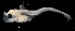  ( - IMOSLarvalFish69)  @11 [ ] CreativeCommons  - Attribution Non-Conmmercial Share-Alike (2021) Unspecified CSIRO Australian National Fish Collection
