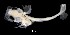  ( - IMOSLarvalFish70)  @11 [ ] CreativeCommons  - Attribution Non-Conmmercial Share-Alike (2021) Unspecified CSIRO Australian National Fish Collection
