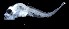  ( - IMOSLarvalFish86)  @11 [ ] CreativeCommons  - Attribution Non-Conmmercial Share-Alike (2021) Unspecified CSIRO Australian National Fish Collection