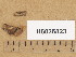  ( - H6036823)  @11 [ ] Copyright (2013) Diana Weckman Botanical Museum, Finnish Museum of Natural History, University of Helsinki