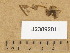  ( - J23092011)  @11 [ ] Copyright (2013) Diana Weckman Botanical Museum, Finnish Museum of Natural History, University of Helsinki