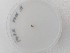  ( - FIN318)  @11 [ ] cc-by-nc (2020) Unspecified Norwegian institute for nature research