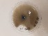  ( - FIN360)  @11 [ ] cc-by-nc (2020) Unspecified Norwegian institute for nature research