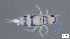  ( - FINCO-2020-0035)  @11 [ ] by-nc (2020) Inkeri Markkula University of Turku