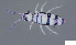  ( - FINCO-2020-0038)  @11 [ ] by-nc (2020) Inkeri Markkula University of Turku