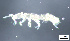  ( - FINCO-2020-0071)  @11 [ ] by-nc (2020) Inkeri Markkula University of Turku